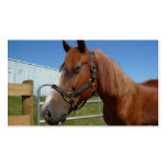 Horse Happiness Business Cards