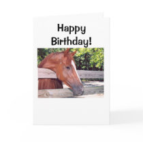 Horse, Happy Birthday! cards by lucindaknowlton Horse, Happy Birthday! cards