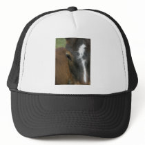 Horse hats
