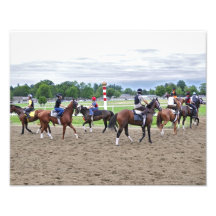 Horse Haven Turf Runners Photograph