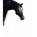Horse Head Hoodie t-shirts