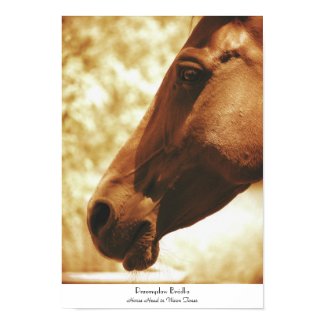 Horse Head in Warm Tones animal photo portrait Print