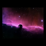 Horse head Nebula posters
