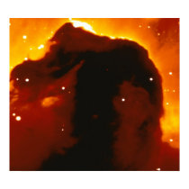 Horse-Head Nebula posters