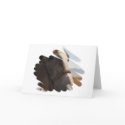 Horse Head Photo Greeting Cards