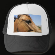 Horse Head Photography Art hats