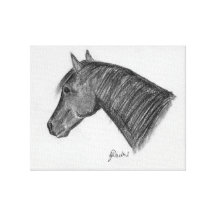 Horse head portrait stretched canvas prints