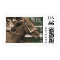 horse head postage