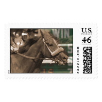 horse head postage