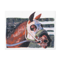 Horse Head postcards