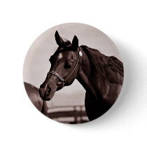 Horse Head & Shoulders Sepia Chocolate buttons by DocPixel Horse Head & Shoulders Sepia Chocolate buttons