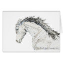 Horse Head Sketched cards
