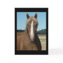 Horse Hello cards by OrcaWatcher Horse Hello cards