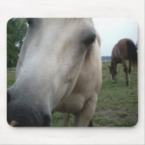 horse hello mousepads by cowgirlup345 horse hello mousepads