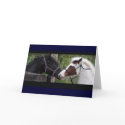 Horse Hi Greeting Cards by RookyStudios Horse Hi Greeting Cards