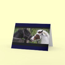 Horse Hi Greeting Cards