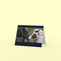 Horse Hi Notecards