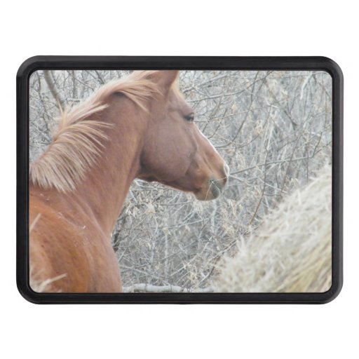 Horse Hitch Tow Hitch Covers Zazzle