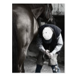 Horse Hoof Horse Shoes Post Cards