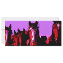 Horse - Horses Rack Cards