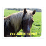 Horse Humor: You Talkin to Me? Postcard