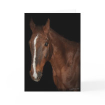 Horse I Greeting Card by ginnyl52 Horse I Greeting Card