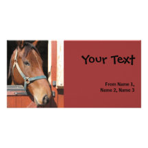 Horse in Barn Photo Card Template