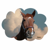 Horse In Cloud 01 Photo Cutouts