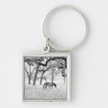 Horse In Foggy Field Of Oaks Keychains
