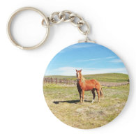 Horse in front of a Napa Vineyard Key Chains