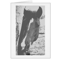 Horse in Grayscale Card