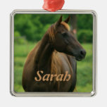 Horse in Green Pasture Personalized Ornament