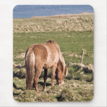 Horse in Kjos #2 mousepads