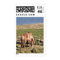 Horse in Kjos #2 postage
