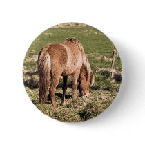 Horse in Kjos #2b buttons