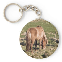 Horse in Kjos #2b keychains