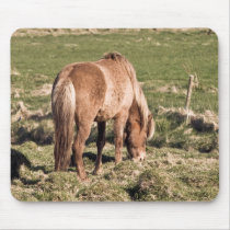 Horse in Kjos #2b mousepads