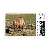 Horse in Kjos #2b stamps