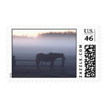 Horse in Mist Postage postage by dtreasures Horse in Mist Postage postage