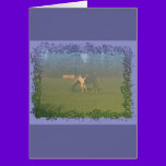 Horse In Pasture: Spotted Horse Eating cards