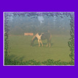 Horse In Pasture: Spotted Horse Eating postcards