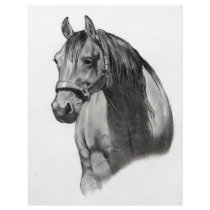 HORSE IN PENCIL flyers by joyart HORSE IN PENCIL flyers