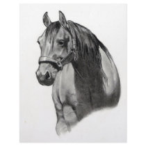 HORSE IN PENCIL letterhead