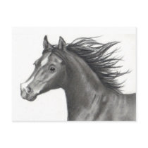 HORSE IN PENCIL: REALISM ART postcards