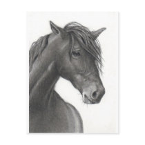 HORSE IN PENCIL: REALISM: HORSE LOVERS postcards