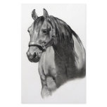 HORSE IN PENCIL STATIONERY PAPER