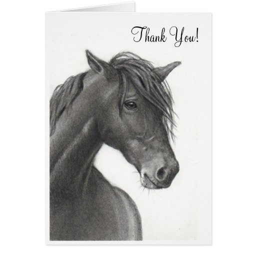 HORSE IN PENCIL: THANK YOU CARD | Zazzle
