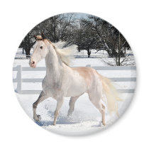 Horse in Snow Magnets