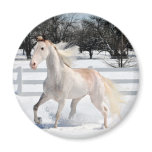 Horse in Snow Magnets
