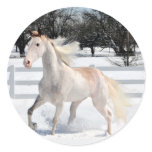Horse in Snow Round Stickers